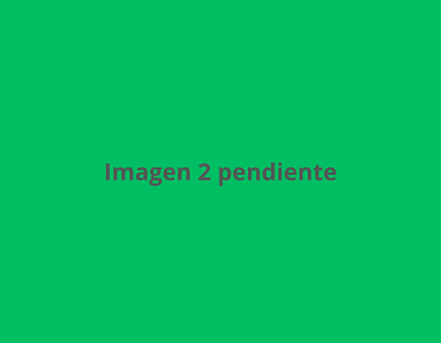 Reverso
