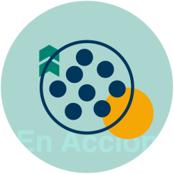 03b-LS_microsite_index-factor02_accion (1)